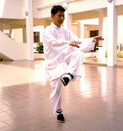 Master Ch'eng in Malaysia performs a lotus sweep